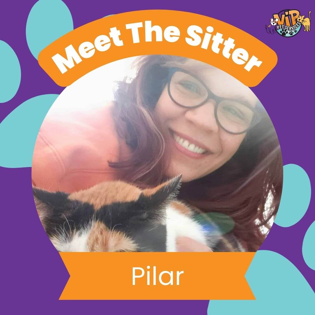 pet sitter pilar
