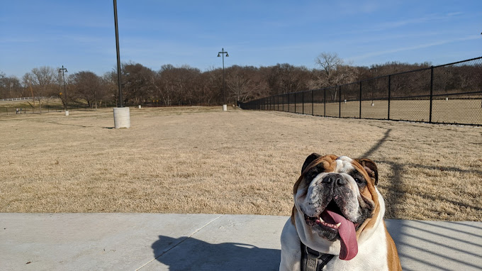 Happy Bulldog at Bob Woodruff Park