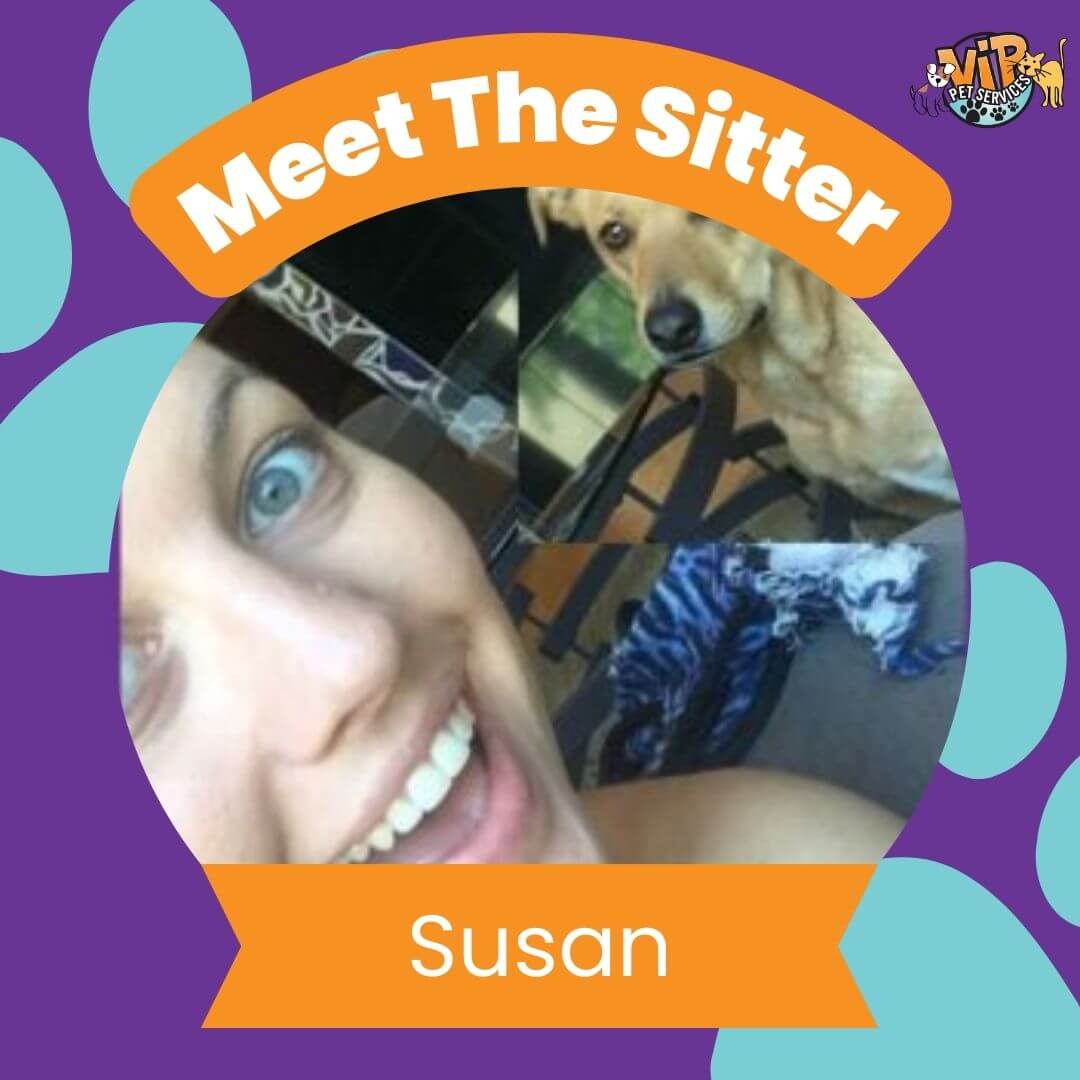 pet sitter susan