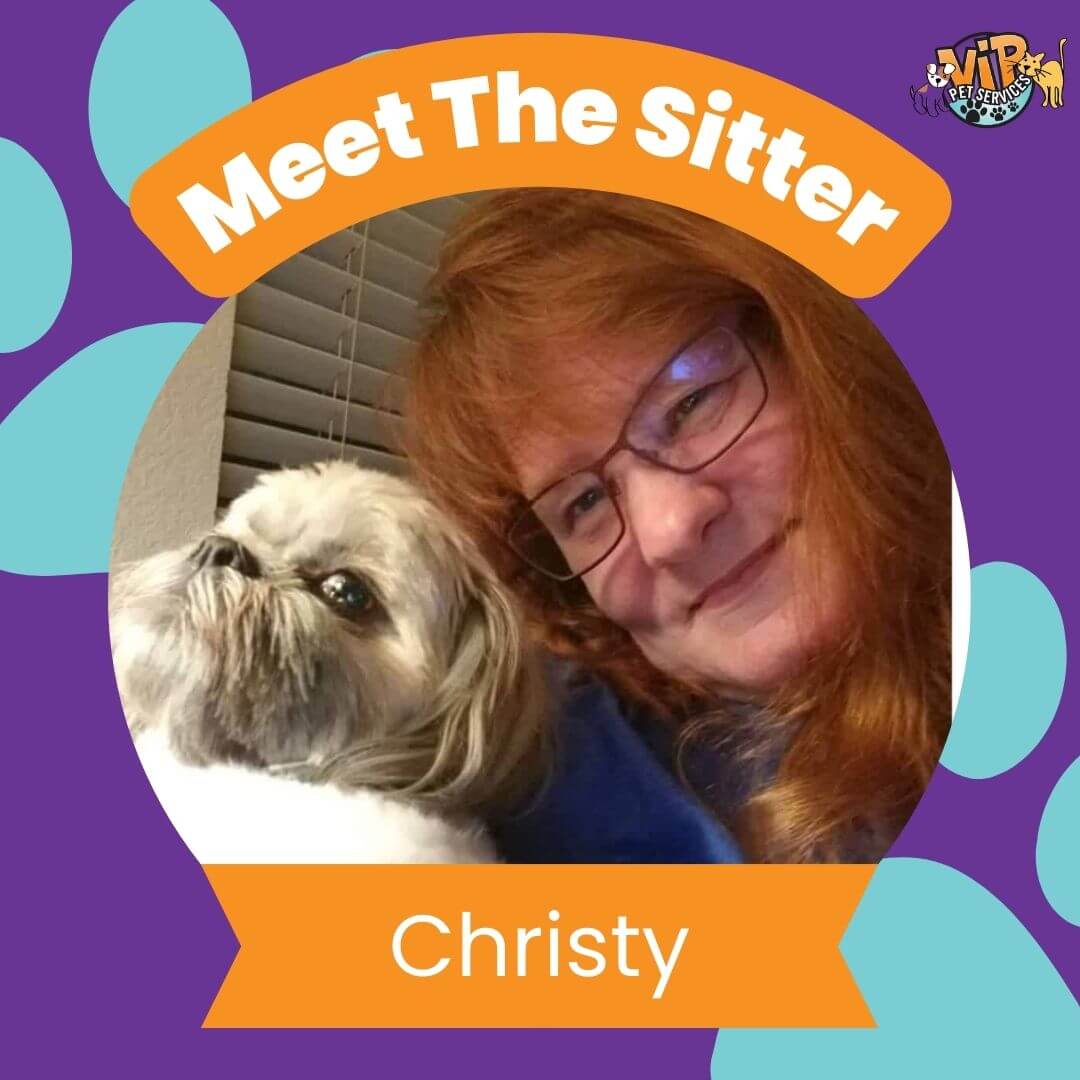 pet sitter christy