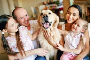 A Health Sharing Plan For Pets The Key To Affordable Pet Care