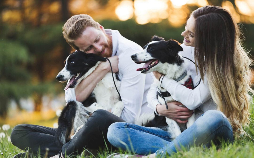 April is Prevention of Cruelty to Animals Month