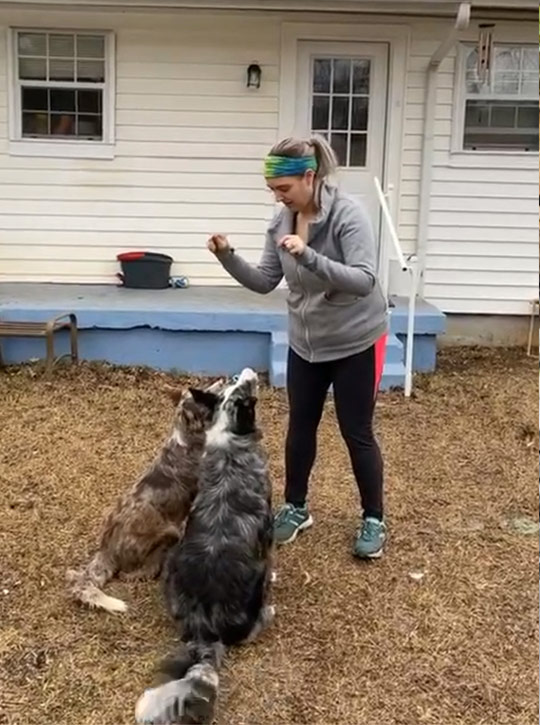 Emily Dog Trainer Dallas