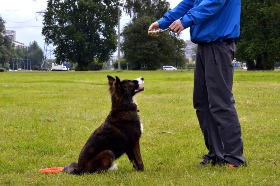 Factors That Can Make the Difference Between Success and Failure