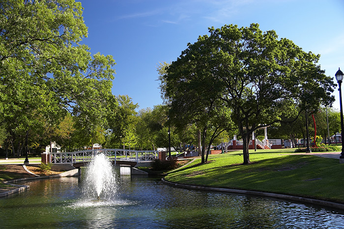 Pet Sitting and Dog Walking Service in Plano, TX