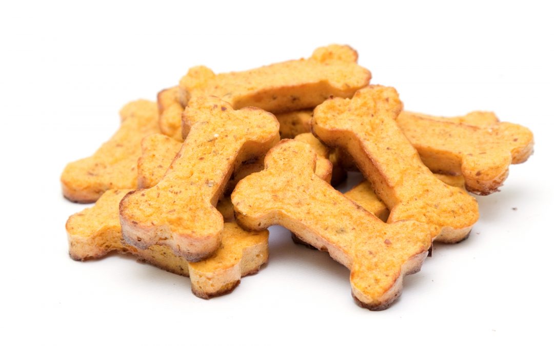 pumpkin homemade dog treats