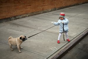 Little girl pulling dog on leash