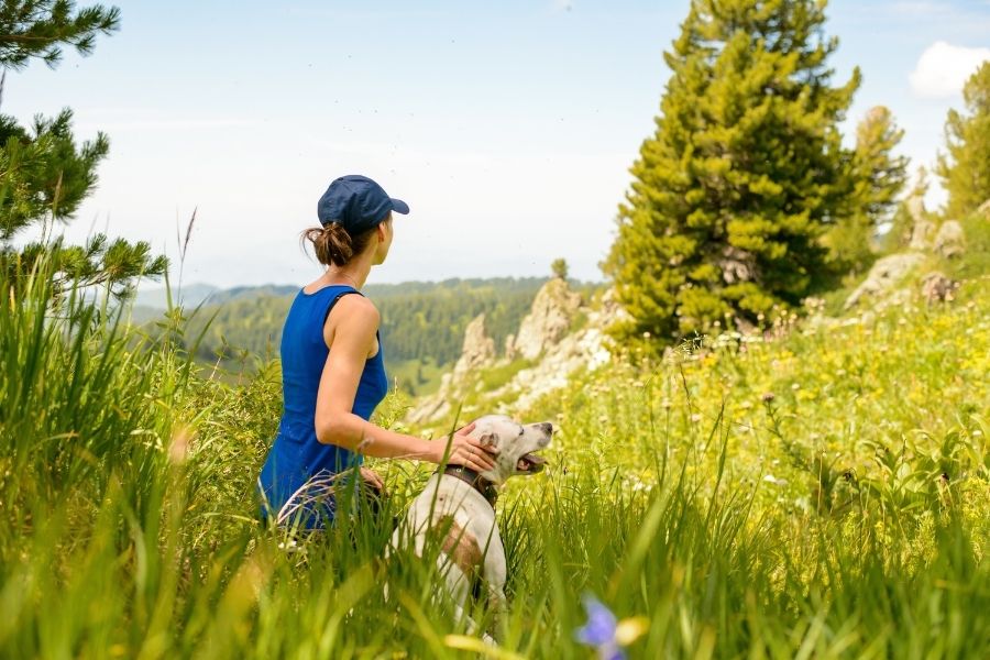 Why You Should Hire a Frisco Dog Walker