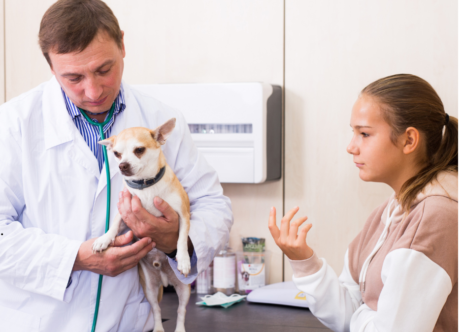 The Hidden Health Risks of Infrequent Walks