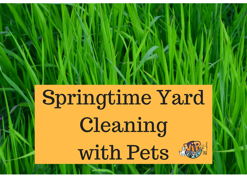 Springtime Yard Cleaning Is Important For Pets