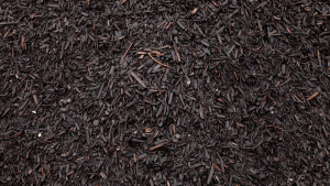 Cocoa mulch is a common lawn product toxic to pets