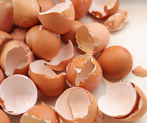 Pile of eggshells when feeding eggs to pets