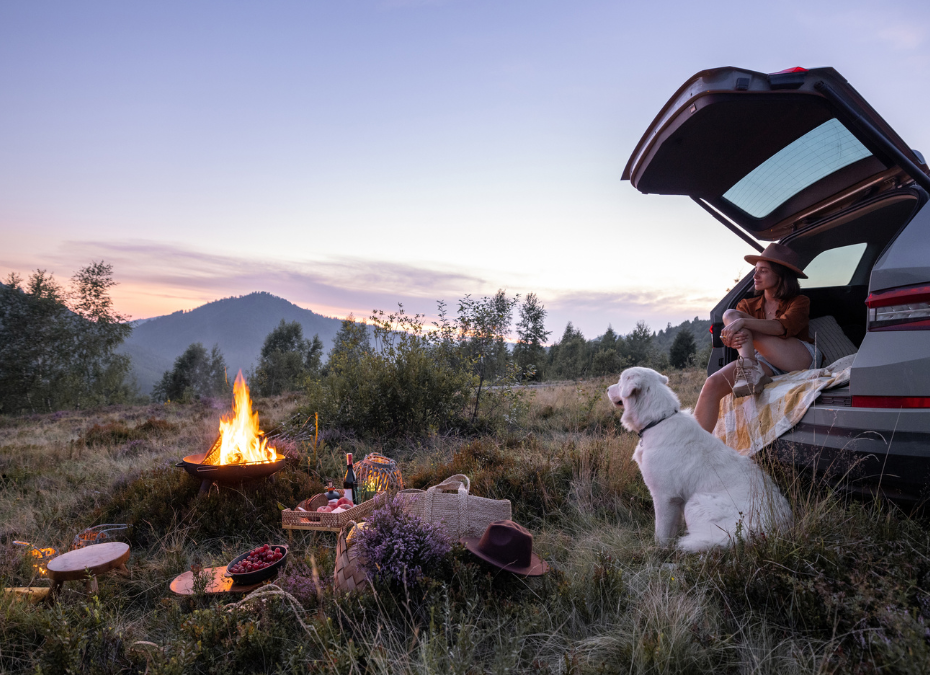 Pet-Friendly Campgrounds Near Austin