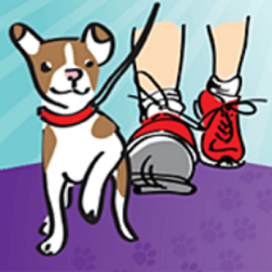 What Does a Pet Sitter Do