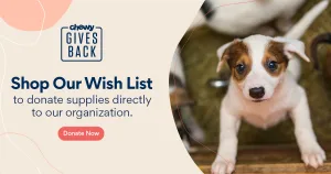 Chewy Gives Back Pet Food Pantry Flyer