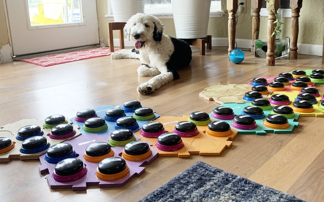 The Truth About Dog Communication Buttons
