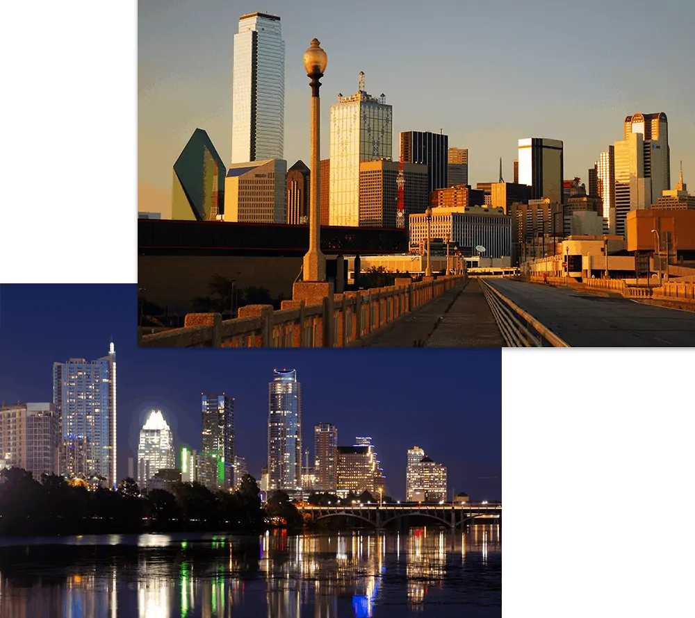 Dog Walking Pet Sitting - Dallas/Austin