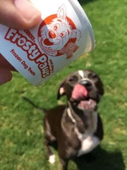 Keep it Cool with VIP and The Dog Days of Summer