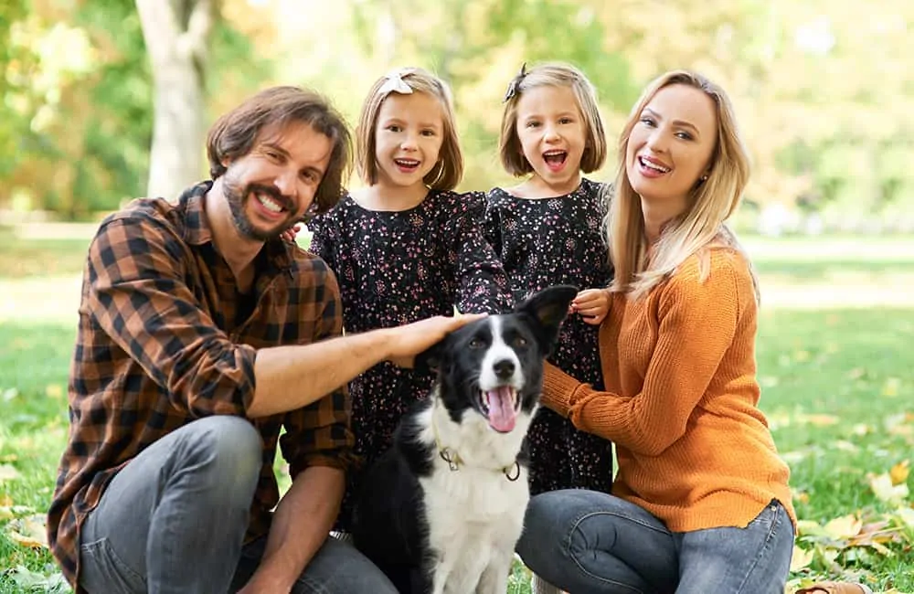 How to prepare your dog for the new normal