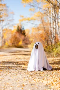 Dog stands amongst Fall scenery dressed in DIY pet Halloween costumes as a ghost.