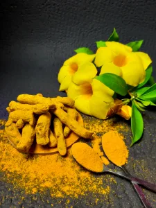 Turmeric powder, root and flower are potent anti-inflammatories receiving attention in pet nutrition trends