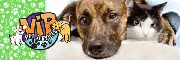 Ease Your Pet’s Holiday Stress.